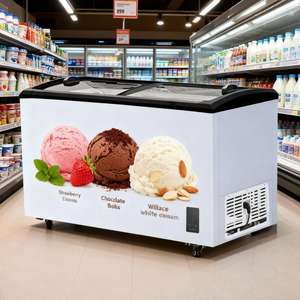 Congélateur commercial en verre CE ETL en gros, congélateur réfrigérateur 340 L +8 ℃ ~-25 ℃   Congélateur à glace pour crème glacée avec portes coulissantes en verre à <span class=keywords><strong>vendre</strong></span> - Product Image 5