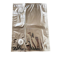 Sacs à bec verseur aseptiques portables en AL, imprimés en héliogravure, recyclables, 3L, pour jus de fruits et autres produits liquides