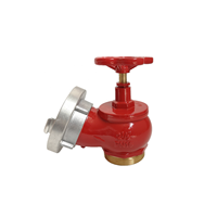 Vanne d'atterrissage pour eau de feu de style allemand 2 ''2.5'' DN65 Din Vanne d'atterrissage avec adaptateur Storz Vanne d'eau pour bouche d'incendie