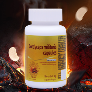 Suplemen Peningkat Gairah Pria Alami Cordyceps Militaris Bubuk Kapsul Lunak, Efek Berlaku 30 Menit, untuk Energi dan Stamina Dewasa - Product Image 1