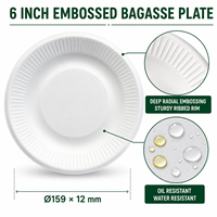 Assiette Ronde Jetable Compostable en Bagasse de Canne à Sucre de 10 Pouces, Meilleure Vente, pour Mariages, Fêtes et Traiteur