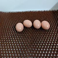 Tapis de nidification pour poulets en gros, tapis de sol pour volailles, tapis de poulailler, boîtes de nidification pour poules pondeuses