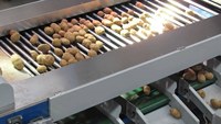 Machine de tri et de calibrage automatique en acier inoxydable 304 pour pommes, oignons, oranges, myrtilles, pommes de terre, avocats, dattes, fruits et tomates avec fonction de lavage