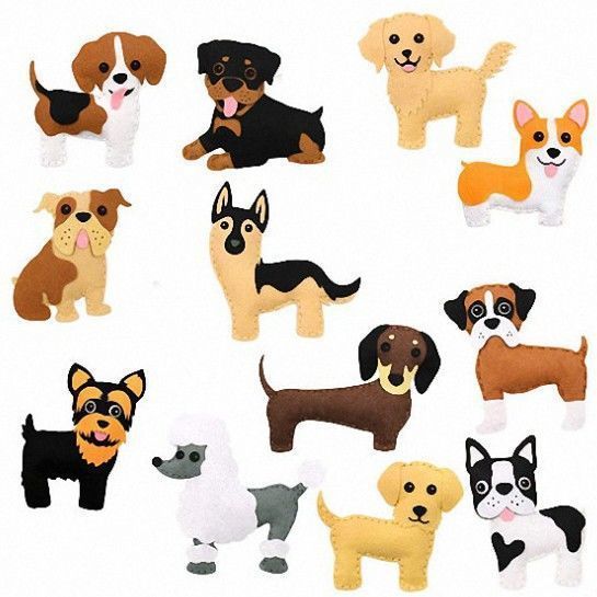 Chiot