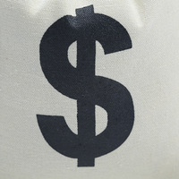 Sac à poussière en coton avec cordon de serrage, logo personnalisé, mini pochette pliable douce avec impression de lettres