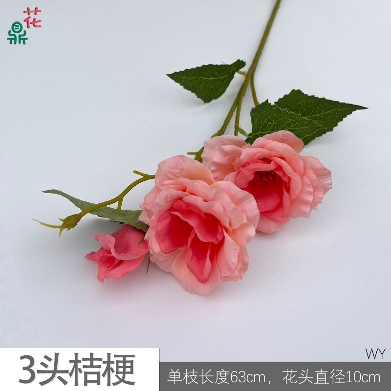 ดอกลิลลี่แห่งหุบเขา 3 หัว (WY) สีชมพู