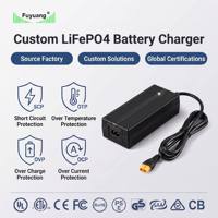 Adaptador de Corriente Magnético LiFePO4 de 29.2V 8A para Robot de Almacenamiento de Energía de 24V, Protección OTP/OVP, Puerto CC, Certificado CE RoHS