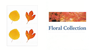 Etiquetas <span class=keywords><strong>postales</strong></span> de EE. UU. para envíos, estampillas conmemorativas de 2025 de hojas vibrantes y bandera de onzas, económicas, de países y estados. - Product Image 5