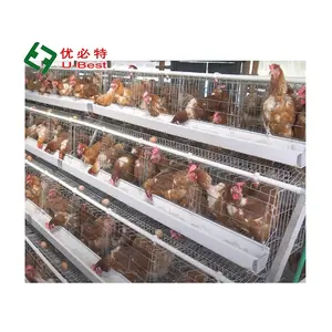 Good Quality Chicken House Design Layer Egg Poultry Layer Chicken Cage For Poultry Farming