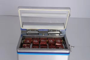 Machine d'emballage sous vide mini pour fromage, viande, bacon, pizza, poisson, poulet, ensilage de maïs, café, fruits et légumes - Product Image 2