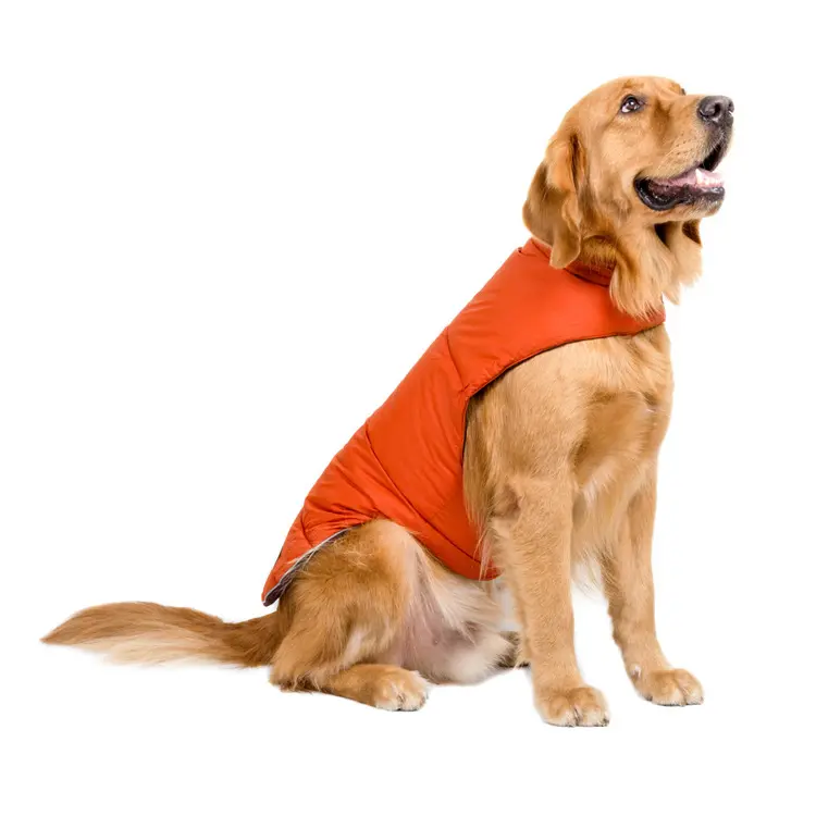 Vendita calda nuovo Design giacca per cani a basso prezzo inverno caldo luce riflettente cappotto per cani cappotto con cappuccio abbigliamento per animali domestici