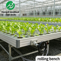 Serre agricole multi-travées Hangdi Tidal Seedbed - Structure stable en alliage d'aluminium galvanisé à chaud pour fleurs et légumes