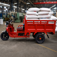 Tricycle utilitaire à essence à 3 roues avec caisse en acier, moteur à essence, véhicule de livraison pour le marché et la ferme