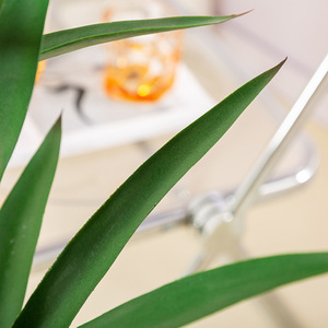 Plantas Artificiales Más Vendidas: Árboles de Sisal, Árboles de Agave, Plantas en Maceta, Decoración para Sala de Estar, Plantas de Orquídea <span class=keywords><strong>Espada</strong></span> - Product Image 6