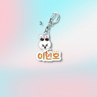 Porte-clés en acrylique Kpop Stray Kids avec pendentif pour sac, personnages Hwang Hyun, Chen, Lee Yong Bok, DOIT, Han Zhi Cheng