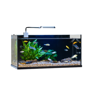 Acuario Pequeño Todo en Uno a <span class=keywords><strong>Precio</strong></span> de Mayoreo, con Filtro Silencioso Integrado y Luz COB de Alto CRI, Acuario de Vidrio Bajo en Hierro, Directo de Fábrica - Product Image 3