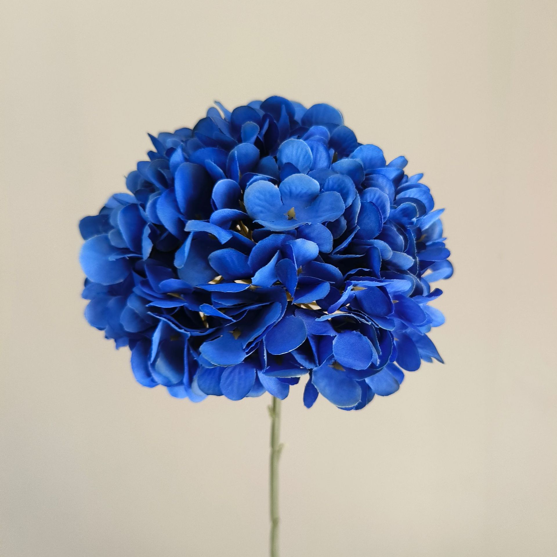 Bleu foncé