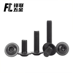 สกรูหัวจมสแตนเลส Fenglian 304 ขนาด M2 M2.5 M3 M4 M5 M6 M8 M10 พร้อมแหวนรอง ISO7380-2-2022 เกรด A - Product Image 2