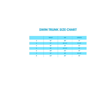 UPF50 + Pantalones cortos de tabla y bañadores a cuadros ahumados con bordado de bandera - Product Image 6