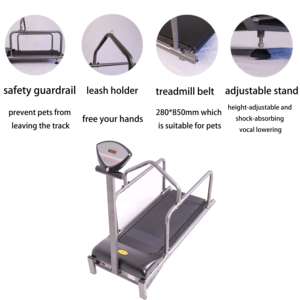 Máquina de ejercicios para mascotas en miniatura que fomenta la aptitud cardiovascular y la cinta de correr para perros - Product Image 2