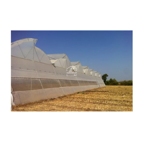 Serre naturellement ventilée pour une croissance efficace des cultures, offrant un contrôle optimal de la température et une circulation optimale de l'air. - Product Image 4