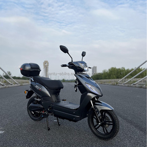 <span class=keywords><strong>Scooter</strong></span> Ciclomotore Elettrico Lantu per Consegne 1000W 48V 20Ah con Approvazione EEC COC - Product Image 6