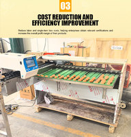 Machine de tri et de calibrage d'œufs 5400 pièces/h, machine de calibrage d'œufs de capacité industrielle pour petites exploitations avicoles