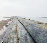 120KN 100KN 95KN tissu géotextile geobag geo tube sac de sable sac d'assèchement geo tube