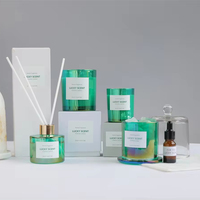 Bouteille de diffuseur de roseau en verre de couleur de parfum de longue durée logo personnalisé diffuseur de roseau d'arôme décoratif pour la maison