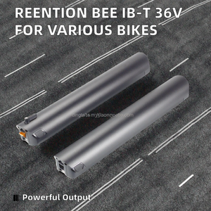 Reention <span class=keywords><strong>Batterie</strong></span> au lithium intégrée <span class=keywords><strong>36V</strong></span> 10.4Ah 10.5Ah 14Ah pour Lekker Kuma <span class=keywords><strong>Bafang</strong></span> Veloretti Ivy Econic One Romet BMZ - Product Image 2