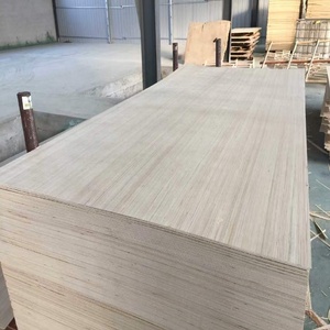 Compensato di pioppo bianco anti-deformazione per veicoli elettrici, superficie pulita, facile da verniciare e lucidare per lavori artigianali - Product Image 4