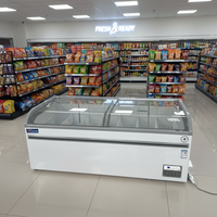 Vitrine Réfrigérée Commerciale Extérieure pour Crèmes Glacées, Basse Température, Portes Vitrées, Éclairage LED, Condenseur en Cuivre
