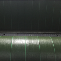 Paillis anti-herbe pour l'agriculture Tapis de contrôle des mauvaises herbes en plastique noir Tissu de couverture du sol en plastique noir pour la ferme