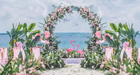 Épaississement fête mariage décoration toile de fond bébé douche métal grille maille toile de fond fleur ballon support cercle arc à vendre