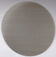 Profesional Kawat Filter Mesh Layar Disc Logam Mesh Filter Layar untuk Industri Minyak atau Air