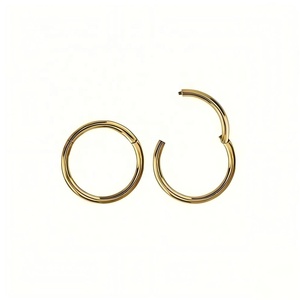 Anneau segmenté articulé en titane poli uni pour <span class=keywords><strong>piercing</strong></span> corporel, vente en gros - Product Image 2