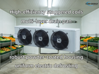 Com-Energy : Évaporateur d'air classique haute efficacité pour entrepôt frigorifique de fruits et légumes RT≥-5C, unité de réfrigération série DL
