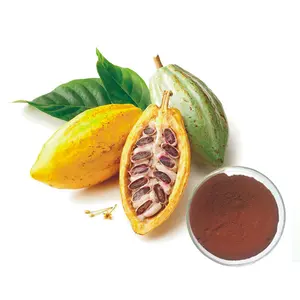 Manufacturer Plant Powder Cocoa Extract cocoa seed extract