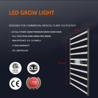 Offre Spéciale 10 barres à spectre complet 1000W LED élèvent des lumières pour serre en aluminium IP65 pour la culture de fleurs couleur blanc chaud
