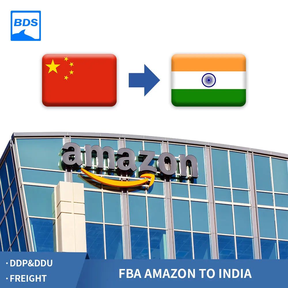 Professionele Ddp Ddu Deur Tot Deur Service Amazon Fba Expediteur Van China Naar India Door Zee/Lucht/express