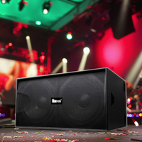 Système audio Nuoxun S218+ avec deux caissons de basses de 18 pouces, système audio professionnel pour DJ, musique, haut-parleur ultra-bas, performance sur scène, extérieur