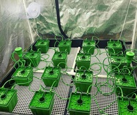 Meilleure Vente : Collecteur d'irrigation hydroponique 12 canaux en plastique pour plantes vertes (sortie), 12 ports, pour la croissance des jardins intérieurs