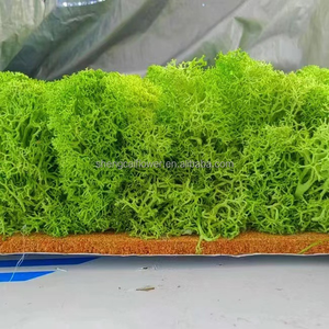 Vente en gros de <span class=keywords><strong>mousse</strong></span> stabilisée <span class=keywords><strong>et</strong></span> de <span class=keywords><strong>lichen</strong></span> Panneau mural de <span class=keywords><strong>mousse</strong></span> Décoration de fête de bureau intérieur Panneau de plante Vie préservée Carreaux de <span class=keywords><strong>mousse</strong></span> - Product Image 2