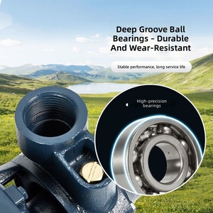 Pompe centrifuge pressurisée pour conduite d'eau du robinet <span class=keywords><strong>QB</strong></span> vortex 110v/220v/240v - Product Image 5
