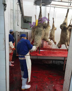 Equipo de matadero de ovejas, máquina de matanza de cordero <span class=keywords><strong>ritual</strong></span> para cabra Halal, línea de matadero llave en mano, maquinaria para ovejas - Product Image 5