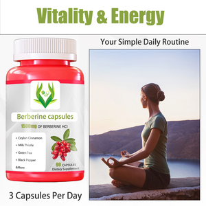 Complejo Premium de Berberina, Cápsulas de Berberina con Canela y Cardo Mariano, Apoyo para el Azúcar en la Sangre, Salud Metabólica, Cápsulas de Apoyo a la Glucosa - Product Image 5