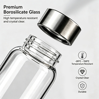 Bouteille d'eau portable en verre borosilicate WEVI 350 ml 500 ml, bouteille à thé 16 oz avec bouchon en acier inoxydable pour usage extérieur