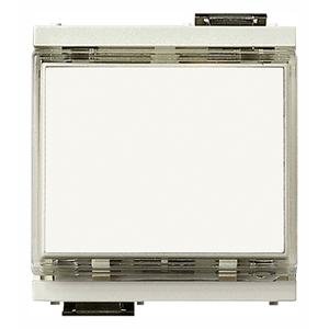 <b>Push</b> <b>Button</b> <b>Switch</b> 1P NO 10A 12-24V White License Plate Mount - Product Image 1