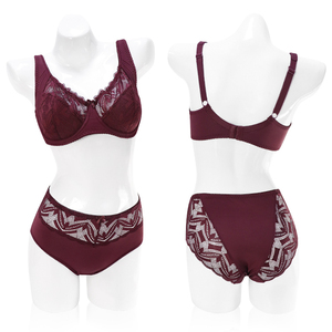 Reggiseni e mutandine all'ingrosso BEIZHI <span class=keywords><strong>ferretto</strong></span> Fat Women Plus Size set di reggiseni trasparenti in pizzo Sexy - Product Image 2
