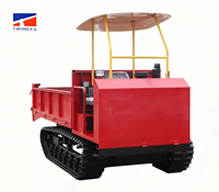 500kg Landwirtschaftlicher Raupendumper, Mini Hydraulischer Kipp-Raupentransporter für Obstgärten